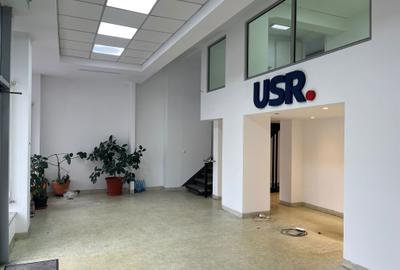Spațiu comercial, de 250 mp, în Ultracentral - 6