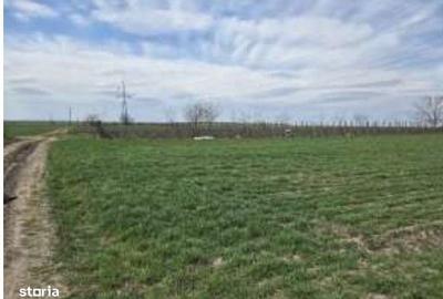 Teren de 2500 mp, în Greaca - 5