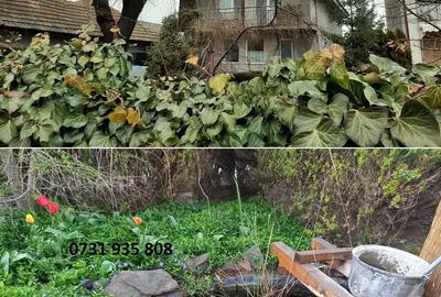 Casă cu Teren 558 Mp în Cumpăna