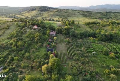 Casă cu 4 camere în Aleșd - 18