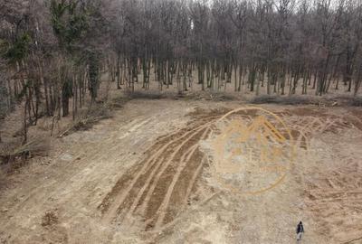 Dragomiresti Vale-Padure-teren intravilan, certificat urbanism 2025 - 14