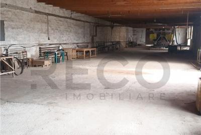 RECO Hale predestinate prelucrarea lemnului, loc. Auseu, sat - 9