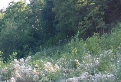 Teren de 300000 mp, în Roșia de Amaradia - 4