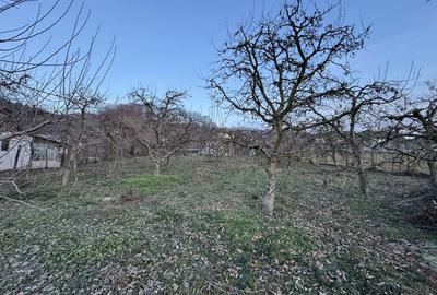 Casă cu 2 camere în Suduleni - 1