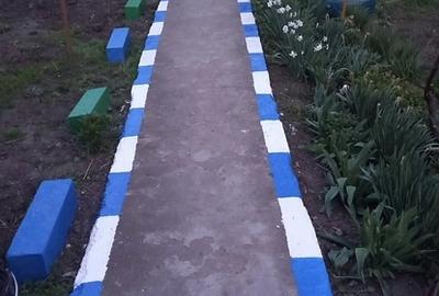 Valea Macrisului - 1