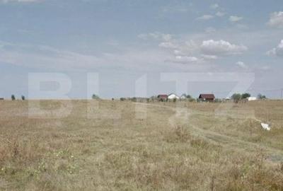 Teren 10.018 mp, investitie, Aeroport/Ghercesti - 1