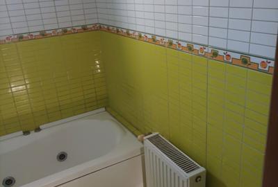 Apartament cu 3 camere decomandat în Nicolina - 4