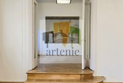 Pache Protopopescu- Plantelor parter in vila Pache Protopopescu- Plantelor parter in vila - 10