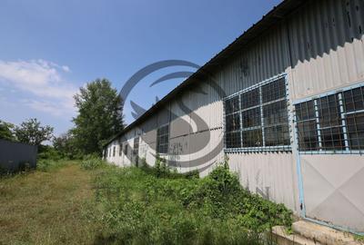 Hala de vanzare | 1.100mp I Boldesti-Scaieni - Randament ... - 4