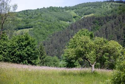 Teren Construcții intravilan de 1050 mp, în Bran - 4