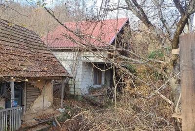 Casă cu 4 camere în Odvoș - 7