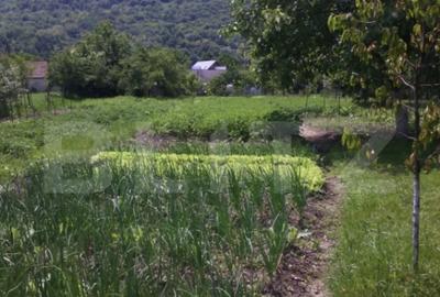 Casă cu 4 camere în Central - 2