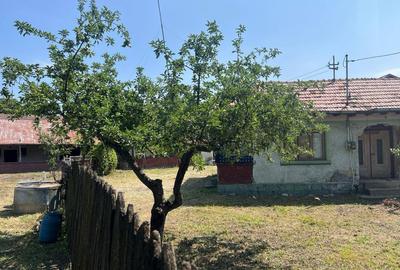 Casă în Central - 5