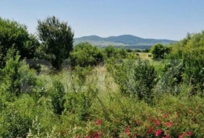 Teren intravilan de vanzare, 7000 mp, DN 17, zona Podirei - 2