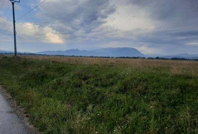Teren de 1500 mp, în Glăjărie - 1