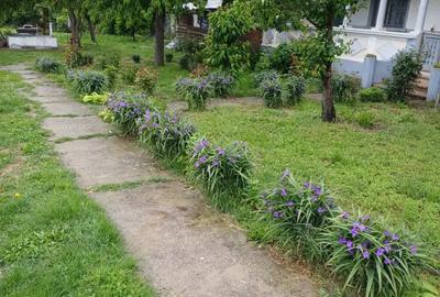 Casa Crevedia Mare Giurgiu Casa Crevedia Mare Giurgiu - 5