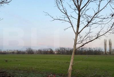 Teren Construcții intravilan de 594 mp, în Exterior Sud - 1