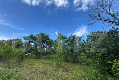 Teren extravilan de vanzare, 6000 mp, zona Hateg - 2