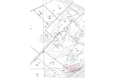 Teren Construcții intravilan de 10000 mp, în Dascălu - 2