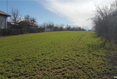 Teren de 3800 mp, în Plopșoru - 5