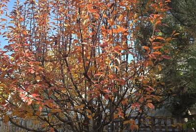 Exclusivitate! Proprietate Sendreni, zona linistita, 69.000 EUR - 16