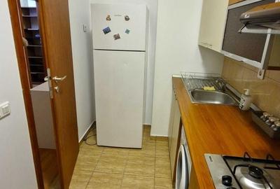 Garsonieră decomandată, mobilată în Titan - 7