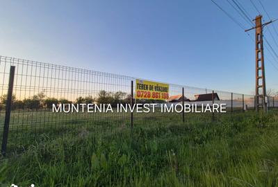Teren de 3533 mp, în Poiana Lacului - 4
