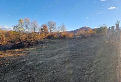 Teren de 1000 mp, în Cisnădioara - 4