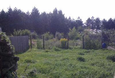 Casă cu 4 camere în Păun - 7