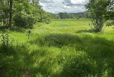 Casă cu 3 camere în Melinești