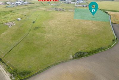 Teren intravilan de 26,606mp Sacalaz Teren intravilan de 26,606mp Sacalaz - 10