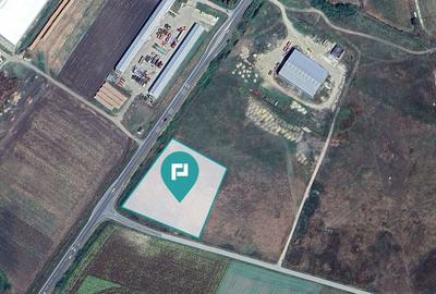 Teren intravilan, 5000 mp în Ciumeghiu, Bihor - 5