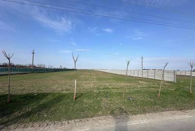 Teren de 6700 mp, în Bălăceanca - 2