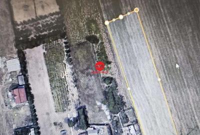 Teren de 3487 mp, în Cumpăna