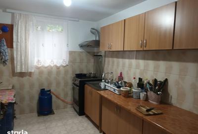 Casă cu 5 camere cu Teren 10000 Mp în Mihai Eminescu - 7