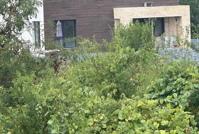 Casa Vila de vanzare Manolache - 6