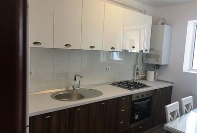 Apartament cu 2 camere nedecomandat în Valea Moșneagului - 3