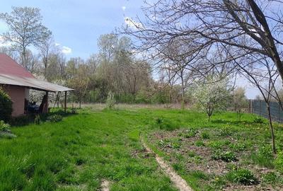 Casă cu Teren 3000 Mp în Sălcioara - 4