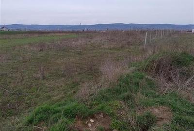 RECO Teren intravilan,  Alparea - 2