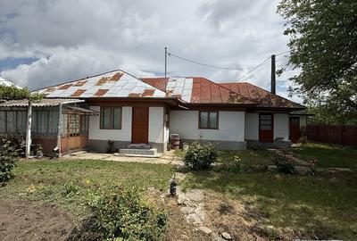 Casă cu 4 camere în Măgurele - 7