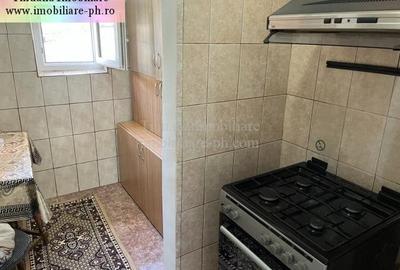 Tihuana Imobiliare:casa de vanzare-Buna Vestire - 18