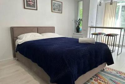 Garsonieră în Nicolae Grigorescu - 4