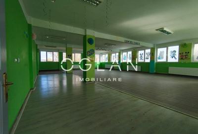 Spatiu comercial 450 mp (P+E)- zona Terezian - 15