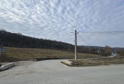 Teren de 600 mp, în Corunca - 5