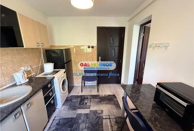 Garsonieră semidecomandată, mobilată în Vest - 12
