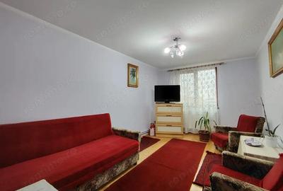 Casa superba in Saliste de Beius - 2