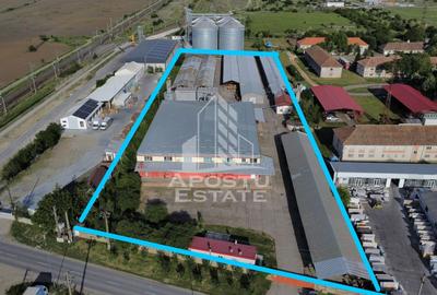 Spațiu industrial, de 13,917 mp, în Vladimirescu - 1