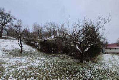 Coas, cabana, 28 ari teren - 5