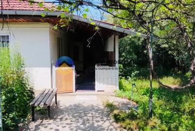 Casă cu Teren 2050 Mp în Bodești - 2