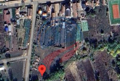 Teren de vanzare/ Secui/ Teasc/Dolj - 2